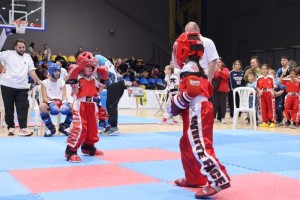 29 Ekim Cumhuriyet Kupası Kick Boks Turnuvası Düzenlendi