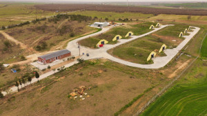“Kapaklı Mantar Üreten ve İşleyen Eller” Projemiz Altın Karınca Ödülüne Layık Görüldü