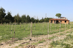 Kapaklı Yaşam Bahçelerine Kavuşuyor