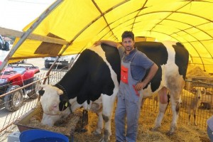 Kurban Pazar Yerine Kurbanlıklar Gelmeye Başladı