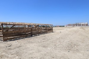 Kapaklı’da Kurban Bayramı Hazırlıkları Başladı